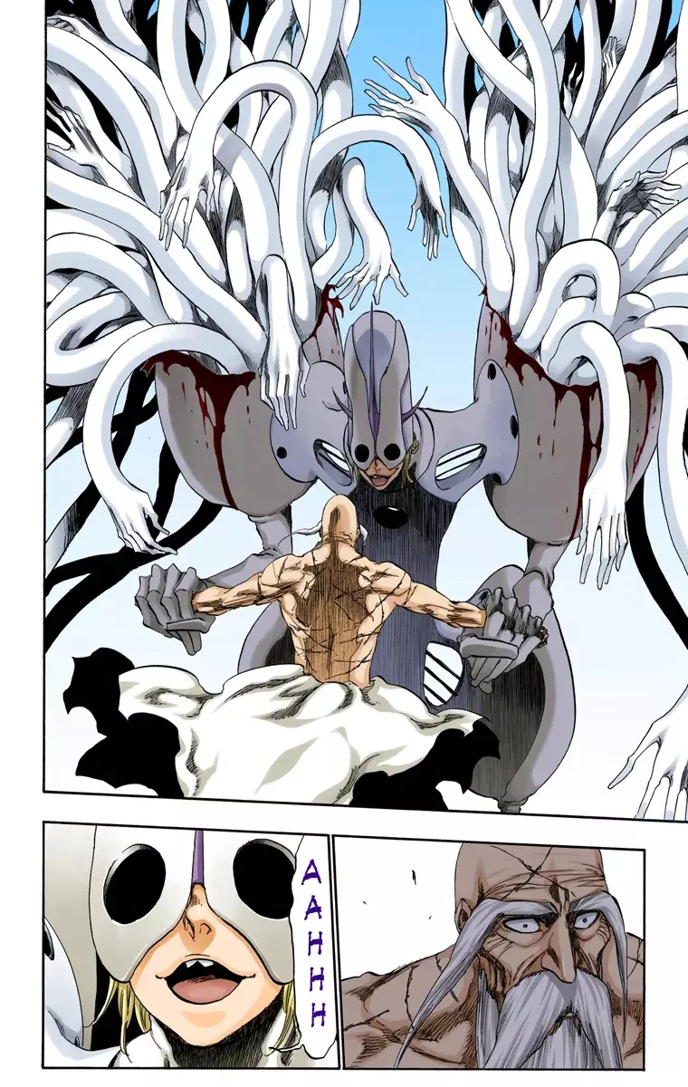 Read Bleach Full Color ES Manga Online