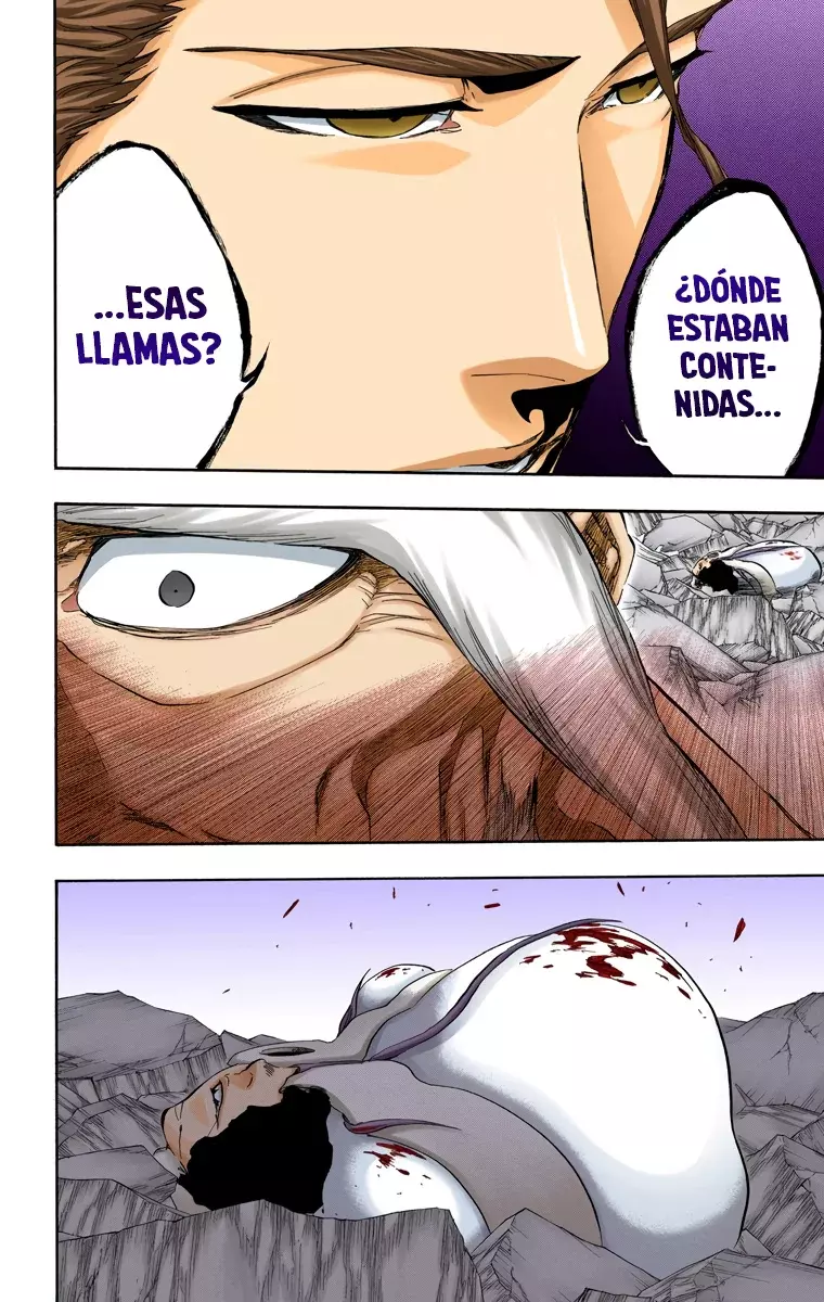 Read Bleach Full Color ES Manga Online