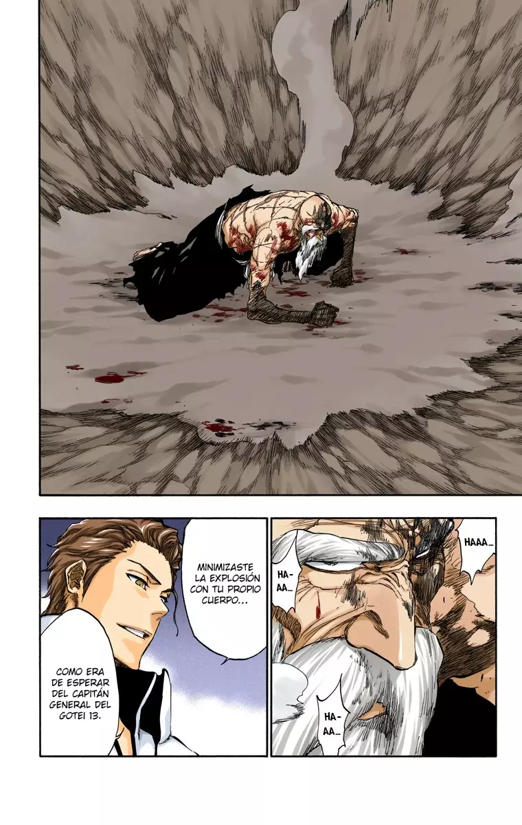 Read Bleach Full Color ES Manga Online