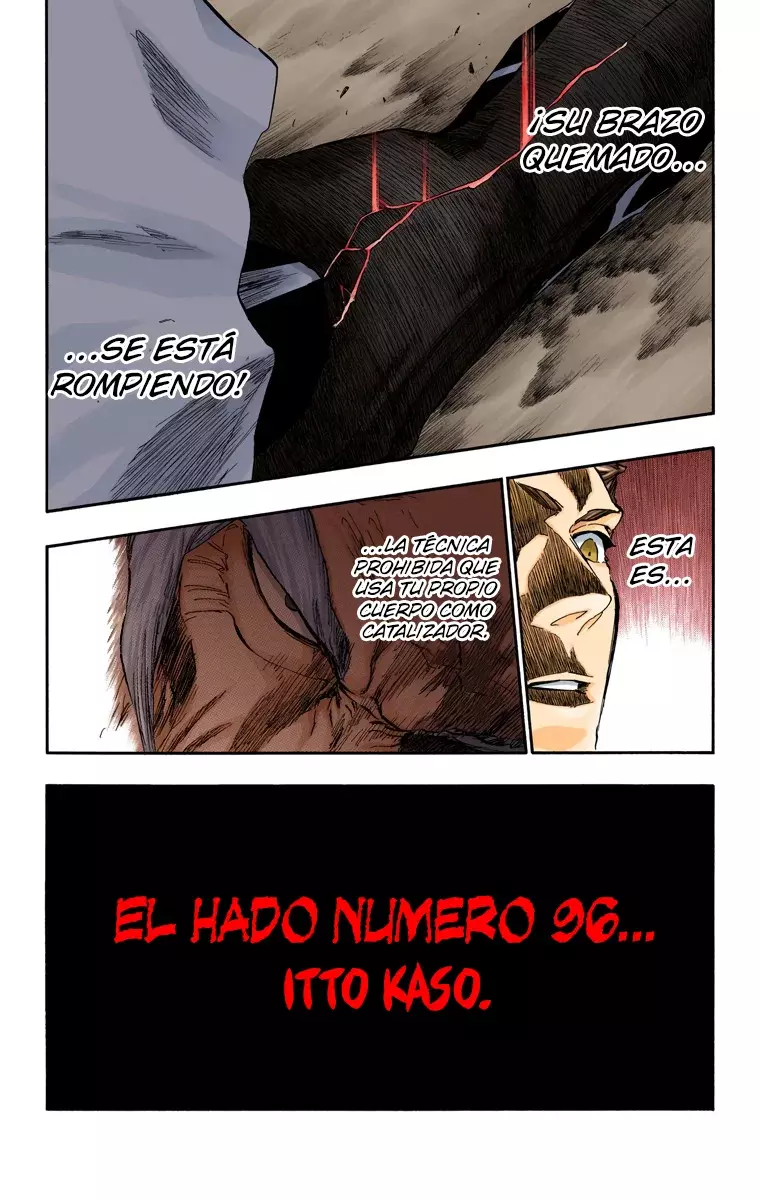 Read Bleach Full Color ES Manga Online