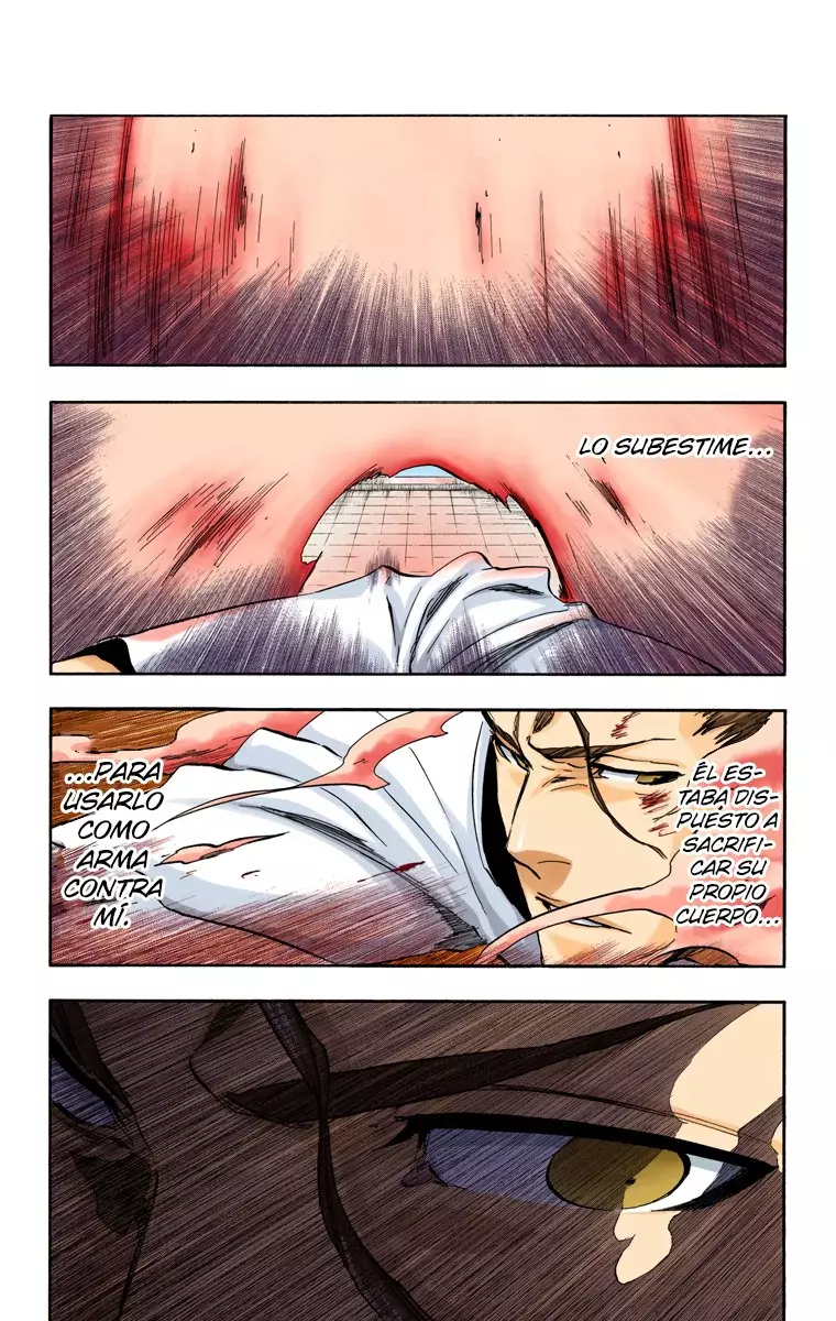 Read Bleach Full Color ES Manga Online