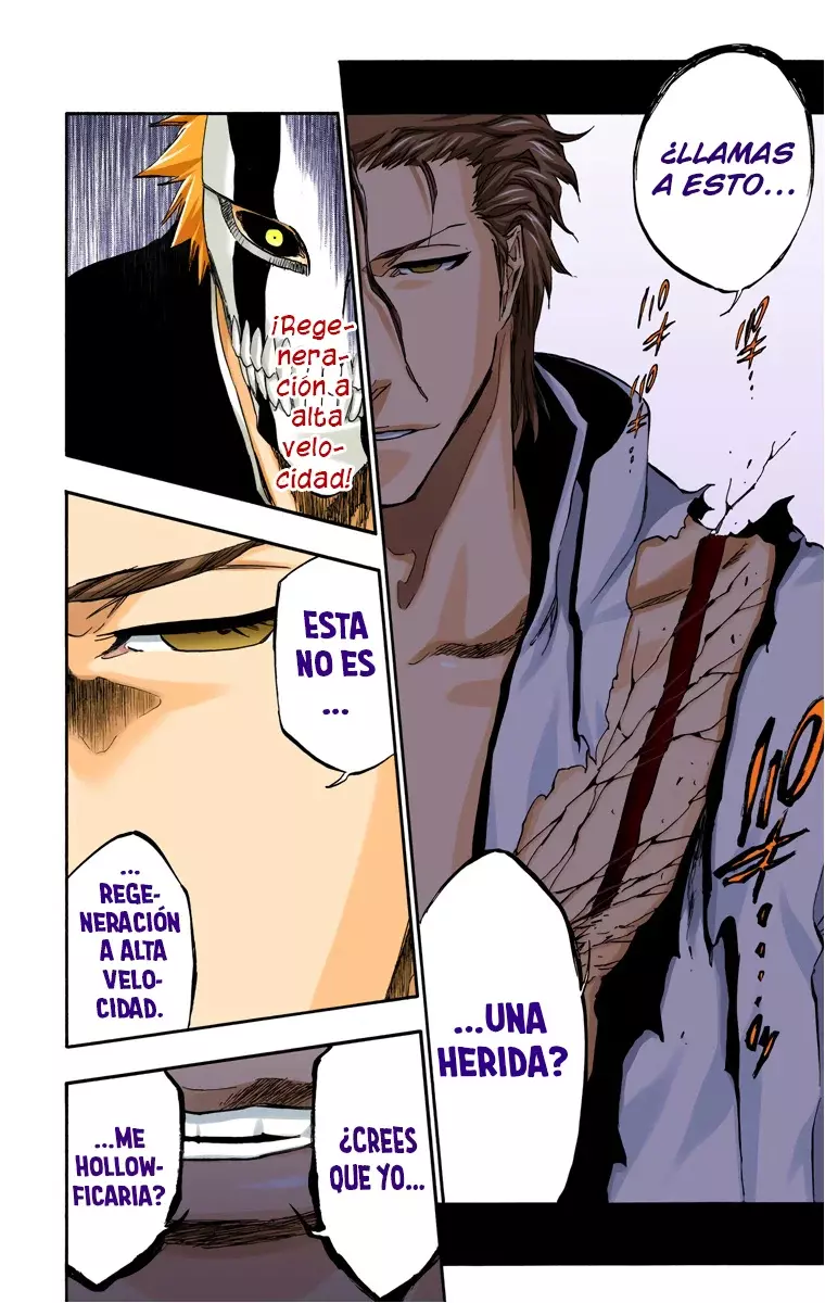 Read Bleach Full Color ES Manga Online