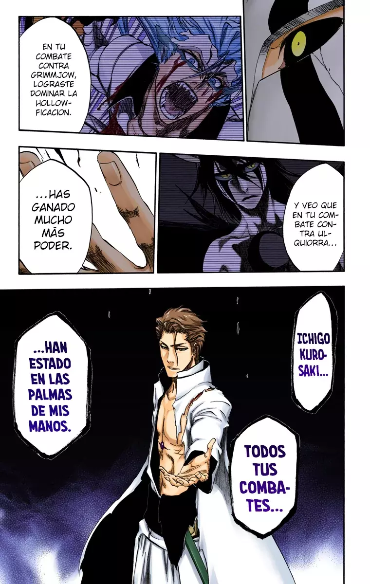 Read Bleach Full Color ES Manga Online