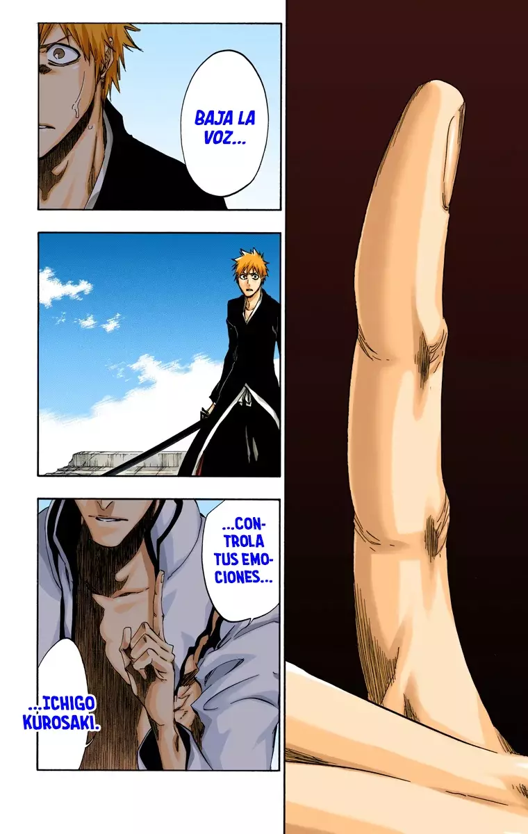 Read Bleach Full Color ES Manga Online