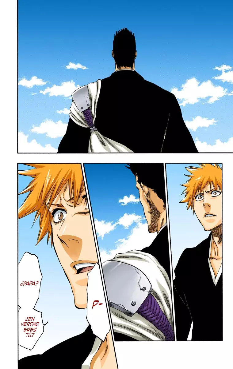 Read Bleach Full Color ES Manga Online