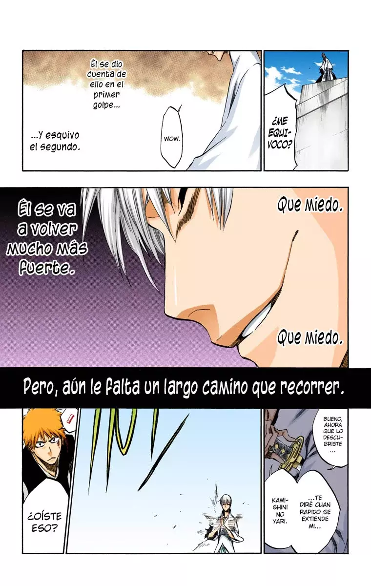Read Bleach Full Color ES Manga Online