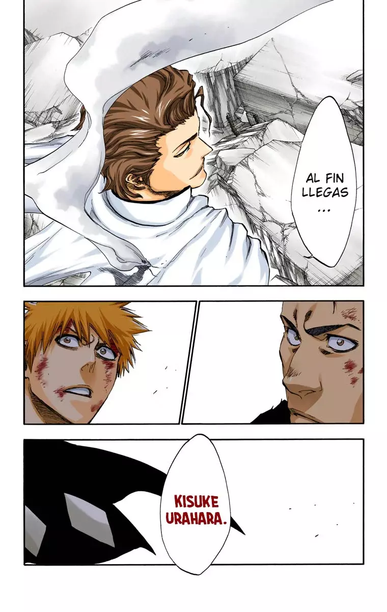 Read Bleach Full Color ES Manga Online
