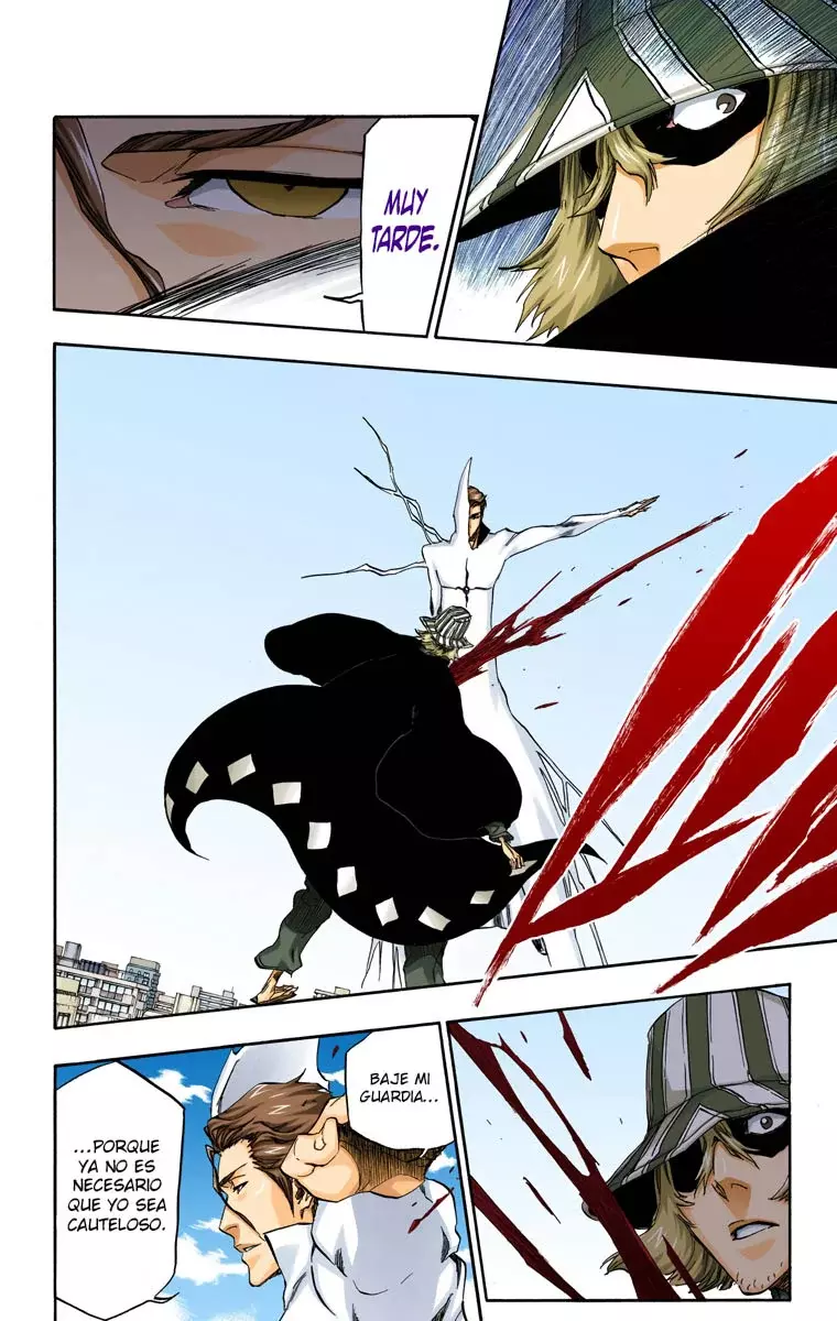 Read Bleach Full Color ES Manga Online