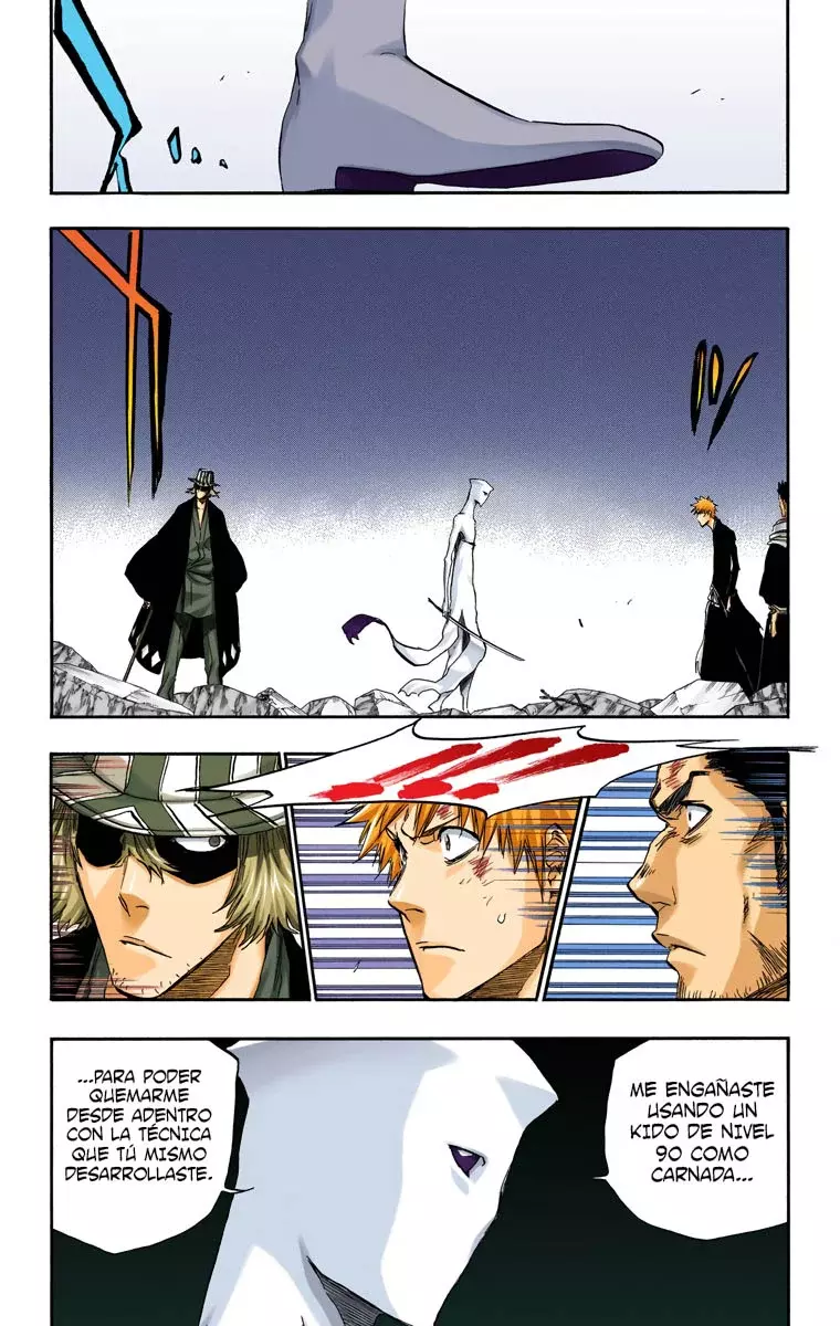 Read Bleach Full Color ES Manga Online