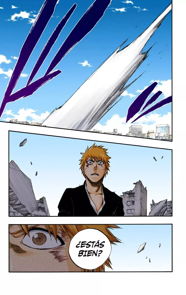 Read Bleach Full Color ES Manga Online