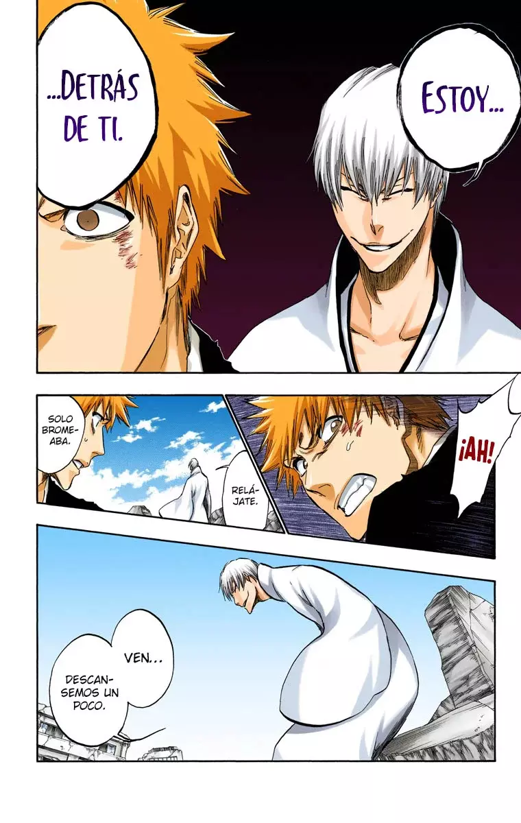 Read Bleach Full Color ES Manga Online