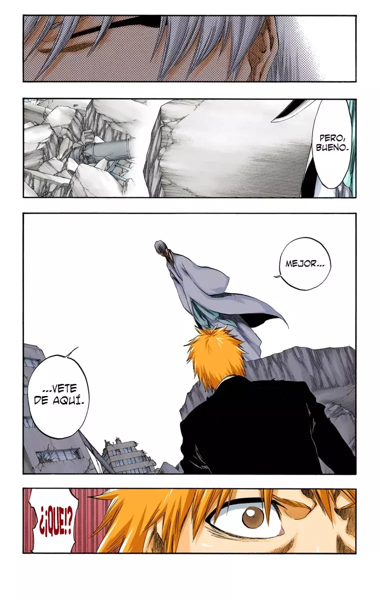 Read Bleach Full Color ES Manga Online
