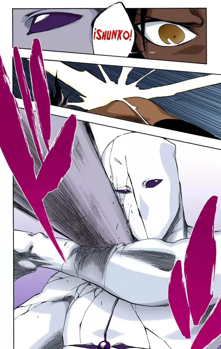 Read Bleach Full Color ES Manga Online
