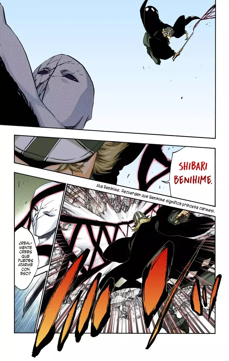 Read Bleach Full Color ES Manga Online