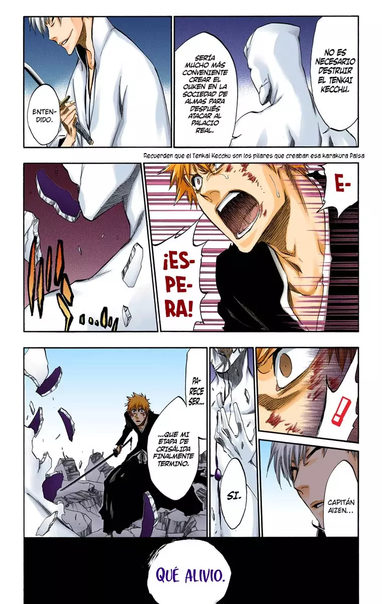 Read Bleach Full Color ES Manga Online