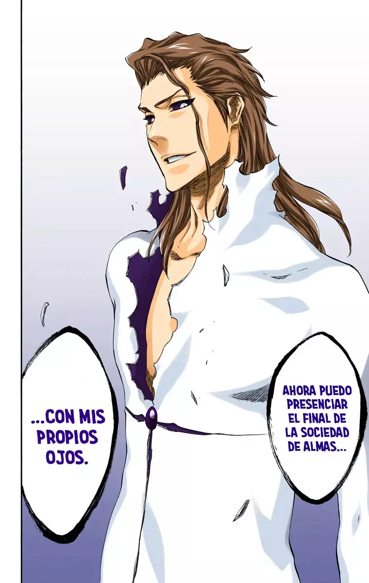 Read Bleach Full Color ES Manga Online