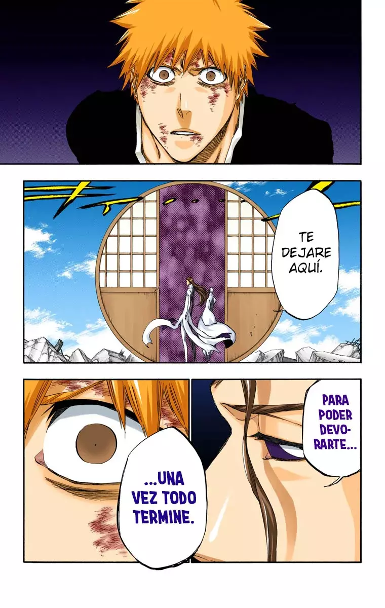 Read Bleach Full Color ES Manga Online