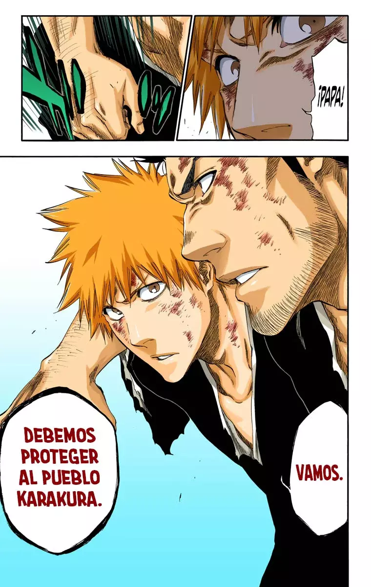 Read Bleach Full Color ES Manga Online