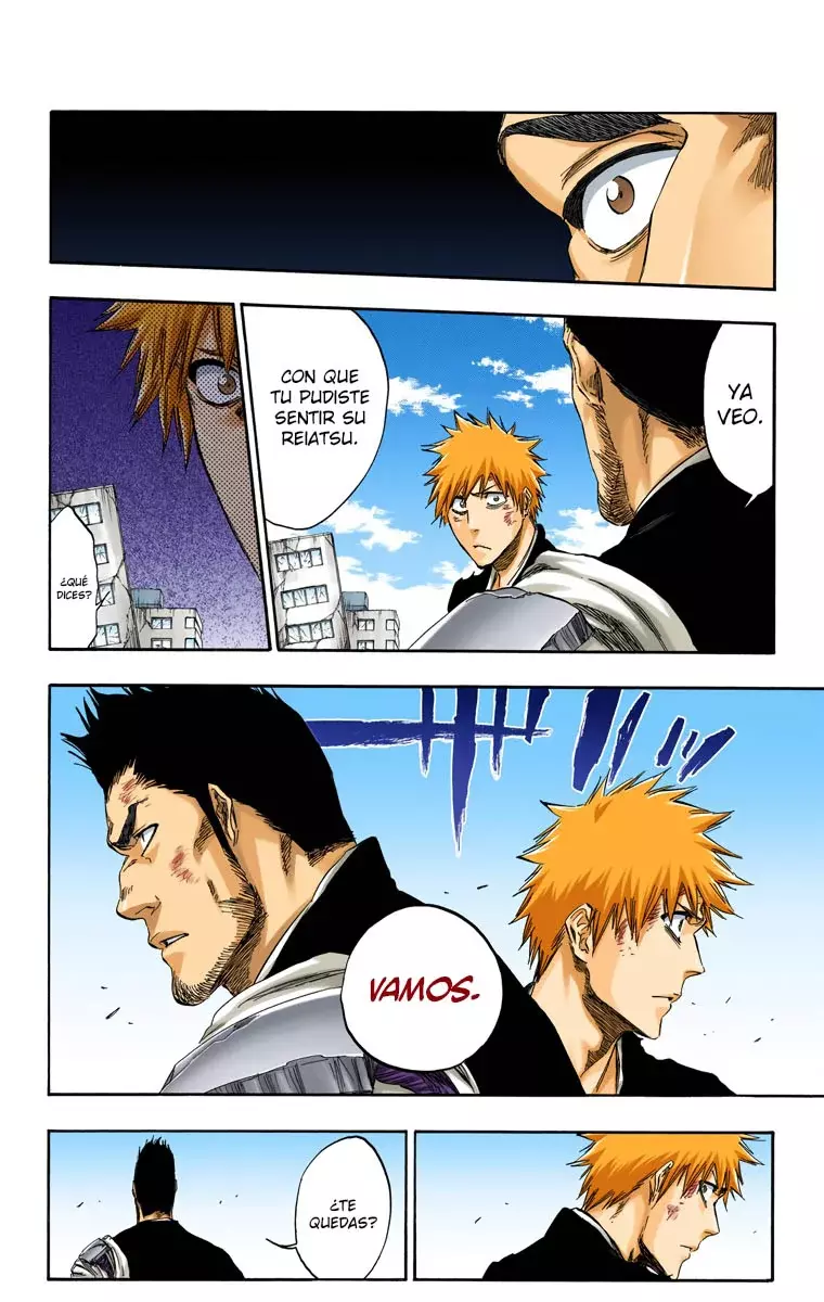 Read Bleach Full Color ES Manga Online