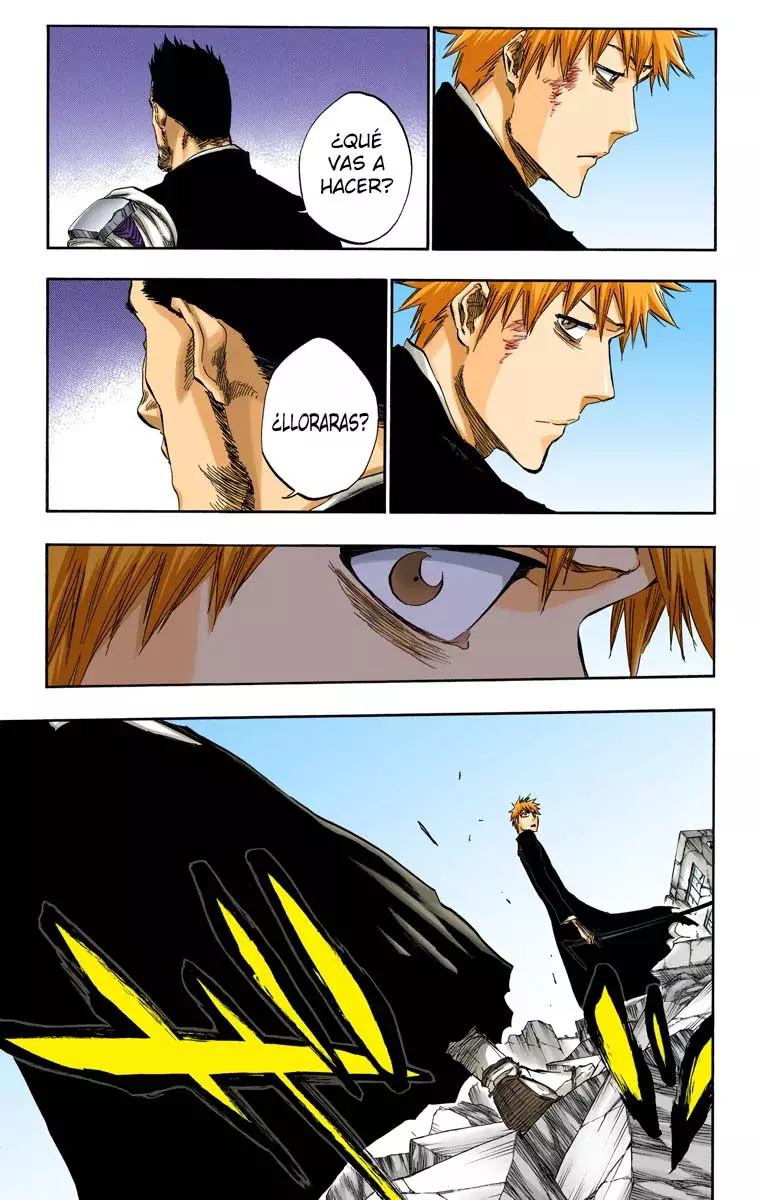 Read Bleach Full Color ES Manga Online