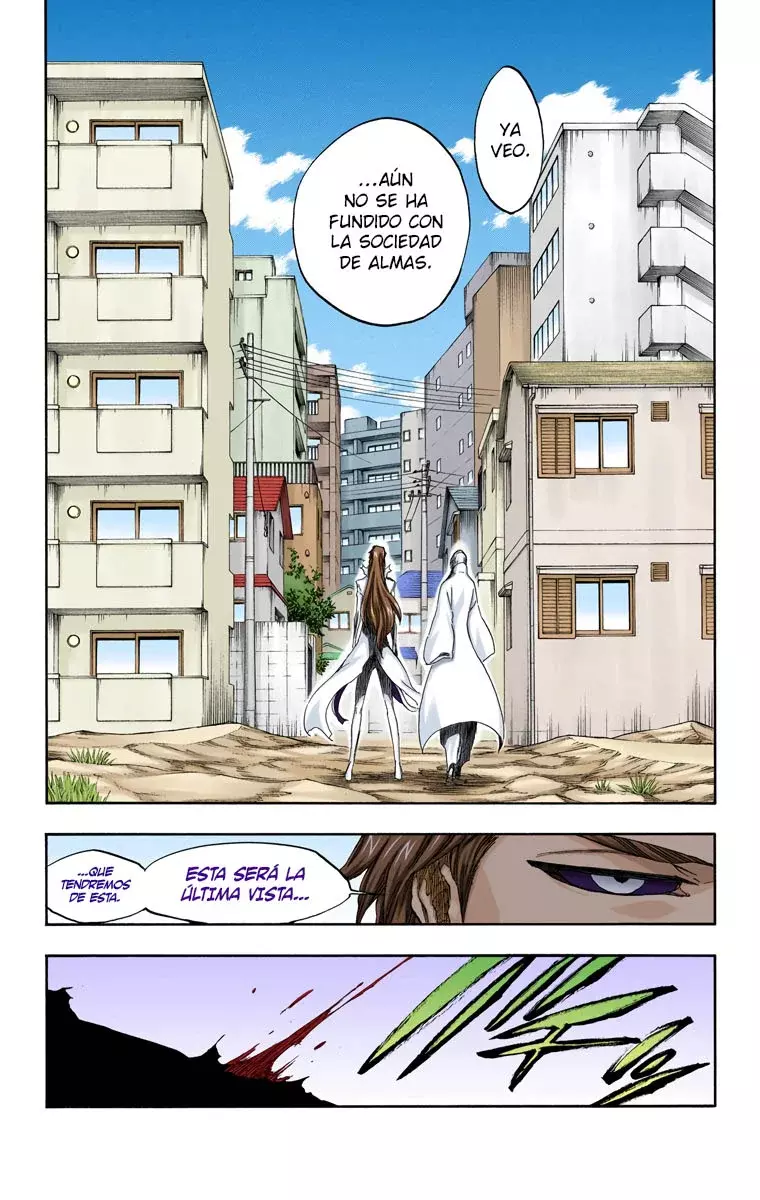 Read Bleach Full Color ES Manga Online