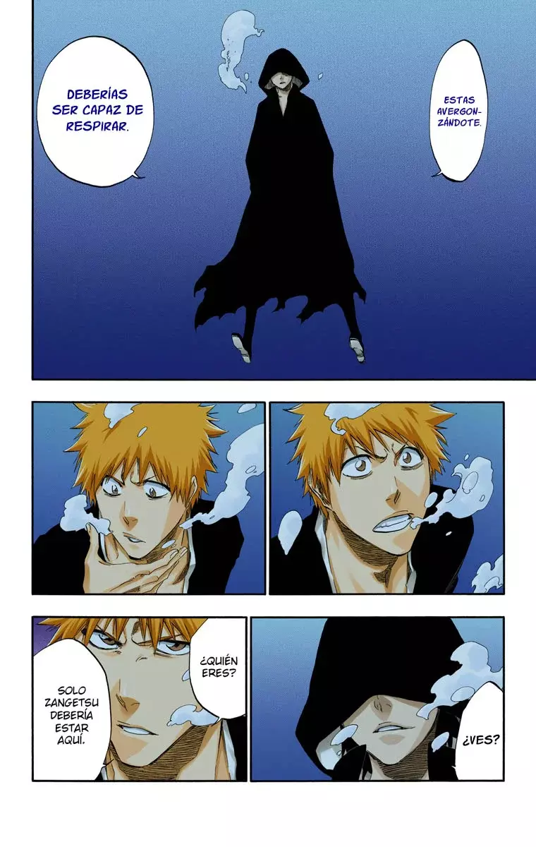 Read Bleach Full Color ES Manga Online
