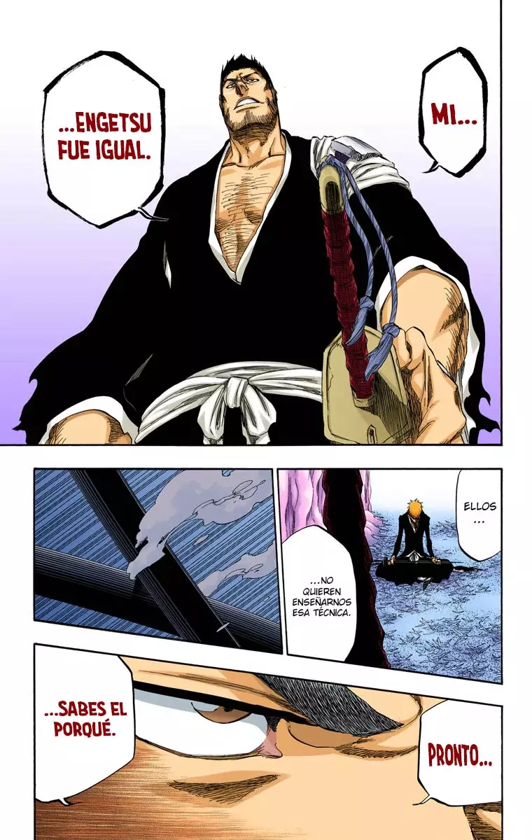 Read Bleach Full Color ES Manga Online