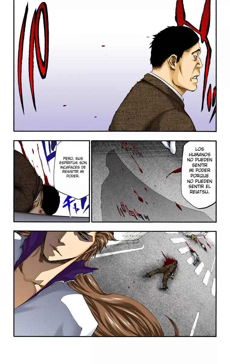 Read Bleach Full Color ES Manga Online