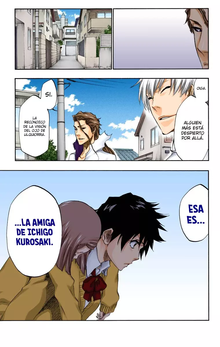 Read Bleach Full Color ES Manga Online