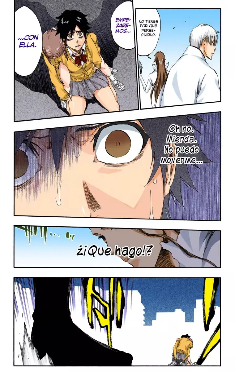 Read Bleach Full Color ES Manga Online