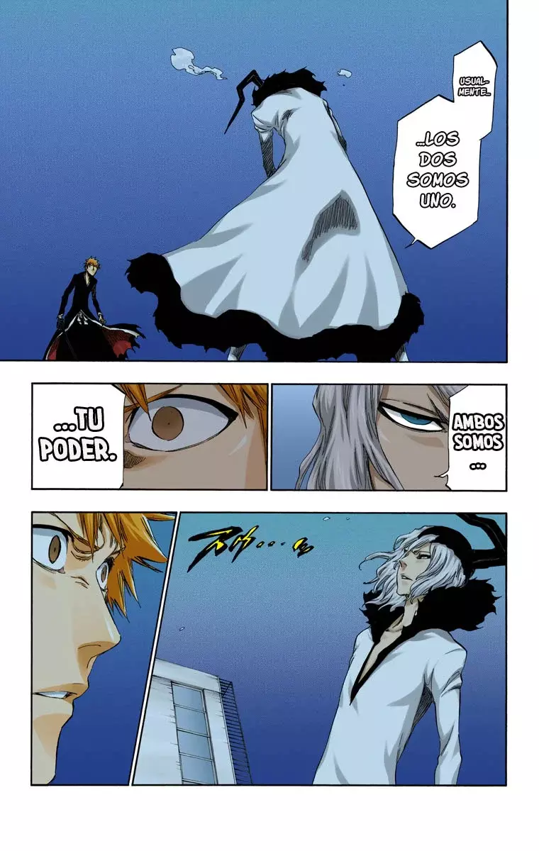 Read Bleach Full Color ES Manga Online
