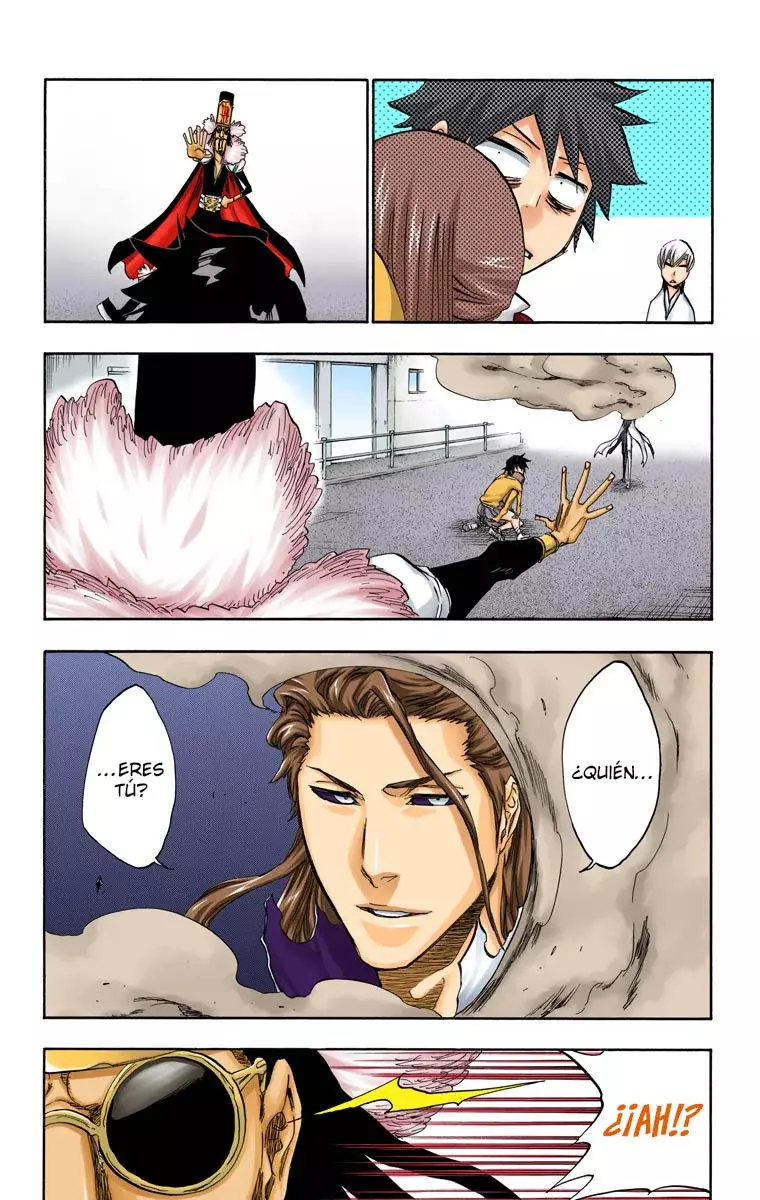 Read Bleach Full Color ES Manga Online