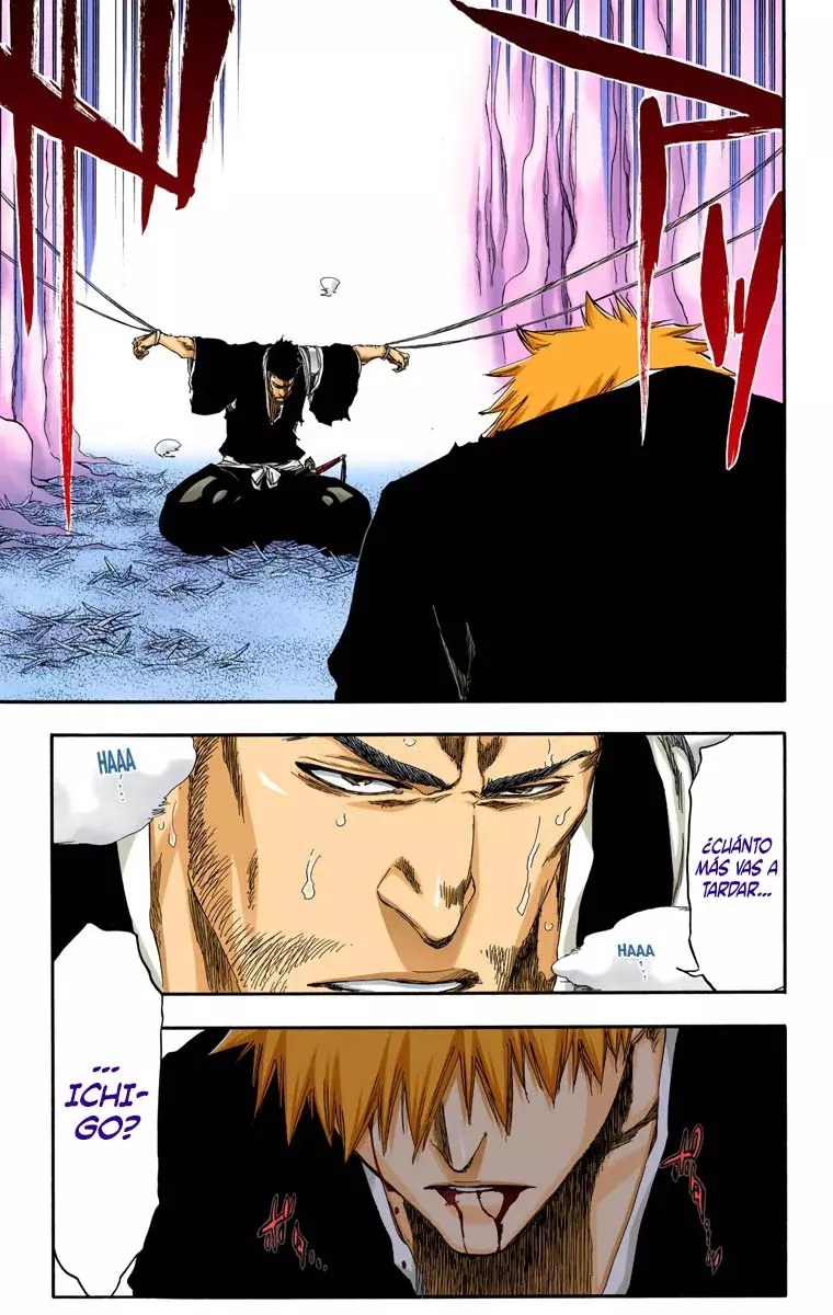 Read Bleach Full Color ES Manga Online