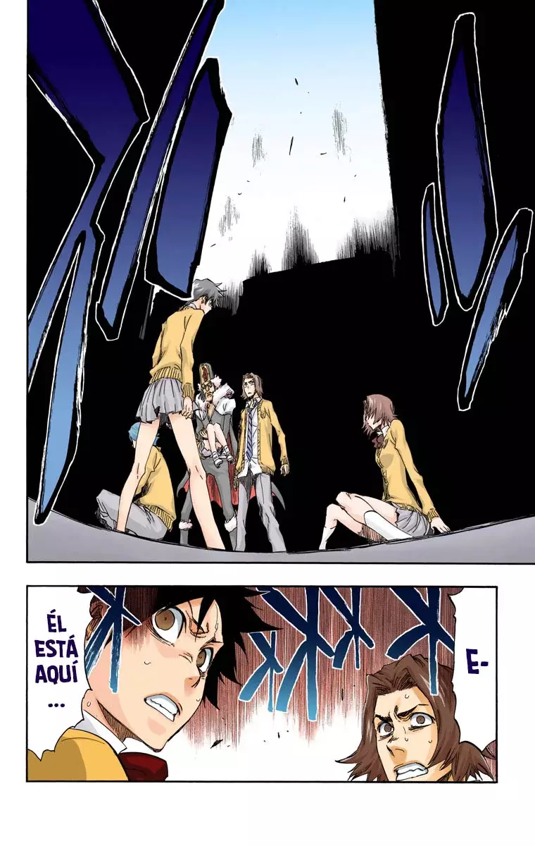Read Bleach Full Color ES Manga Online