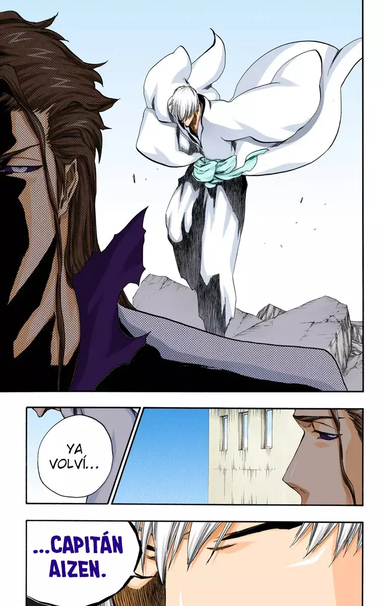 Read Bleach Full Color ES Manga Online