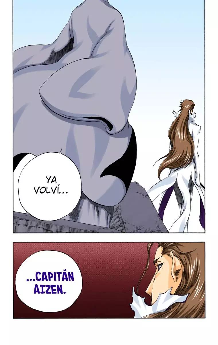 Read Bleach Full Color ES Manga Online