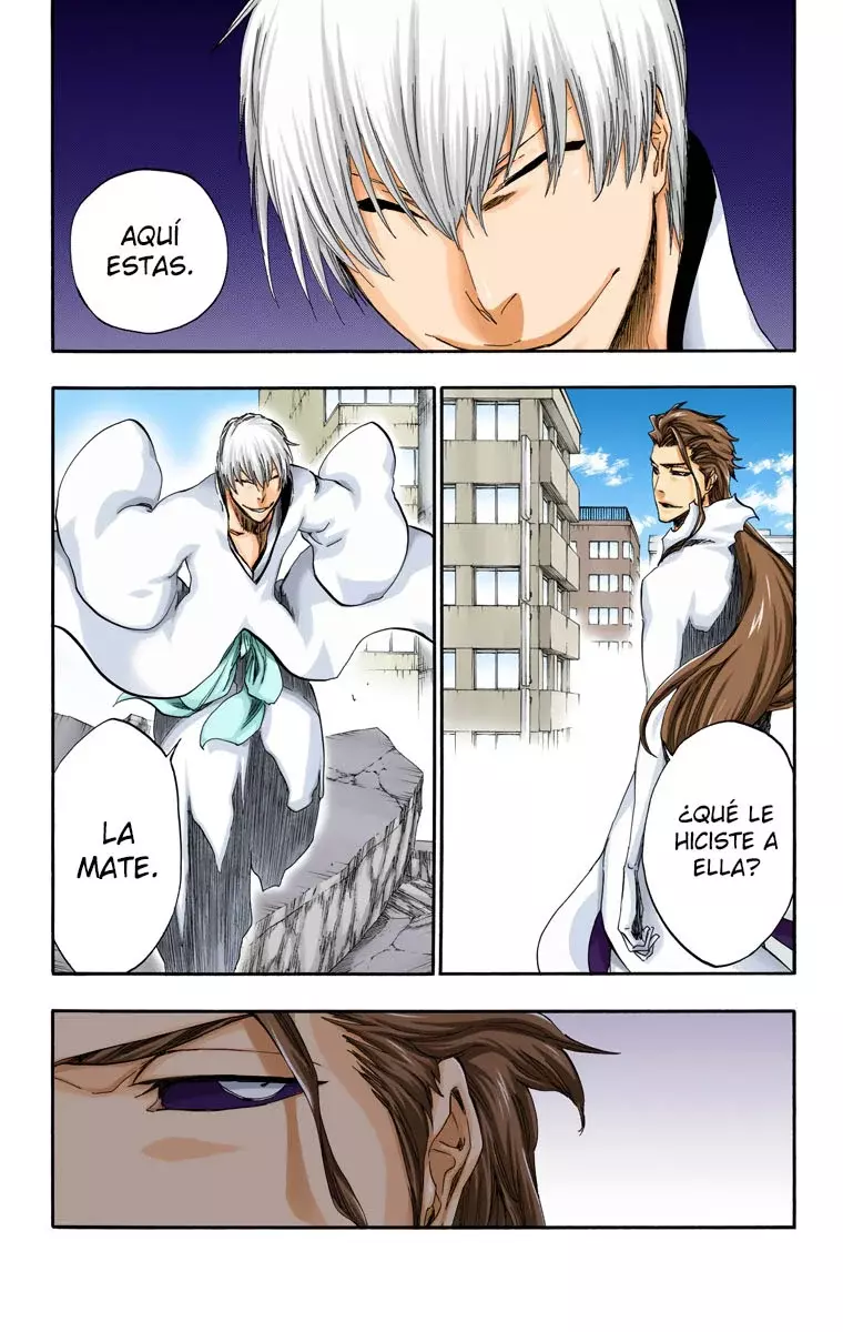 Read Bleach Full Color ES Manga Online