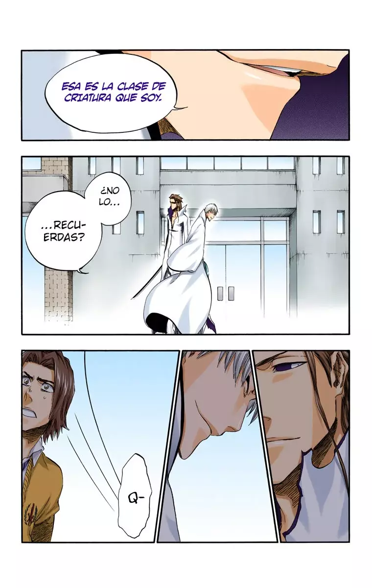Read Bleach Full Color ES Manga Online
