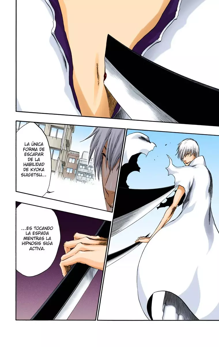 Read Bleach Full Color ES Manga Online
