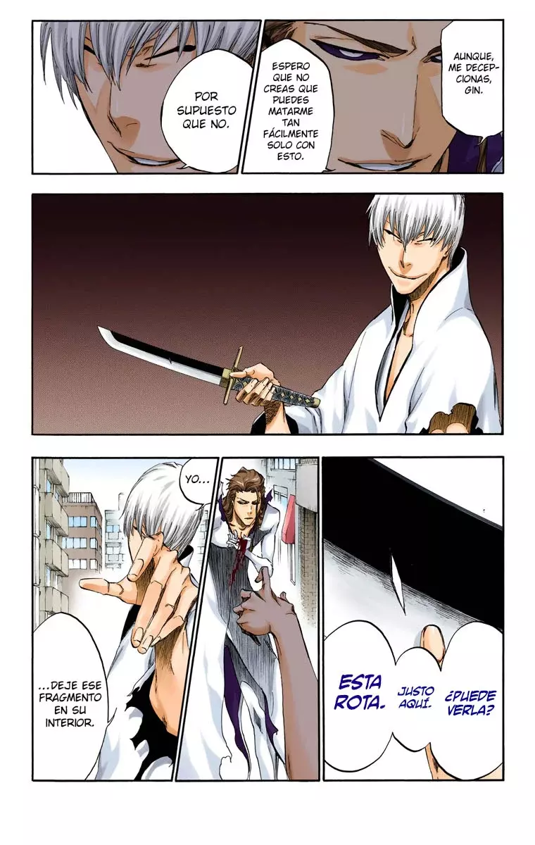 Read Bleach Full Color ES Manga Online