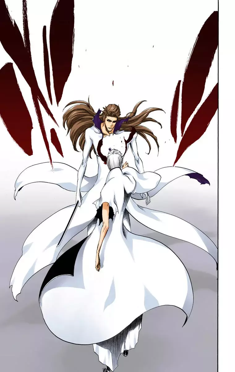 Read Bleach Full Color ES Manga Online