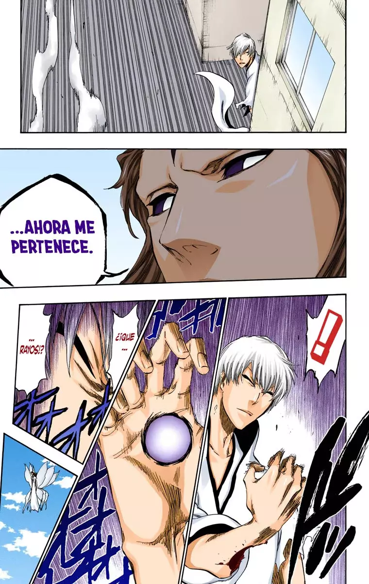Read Bleach Full Color ES Manga Online