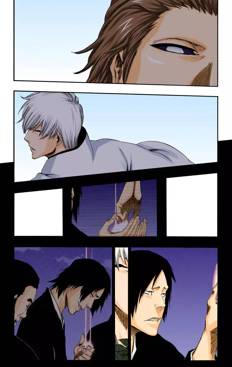 Read Bleach Full Color ES Manga Online