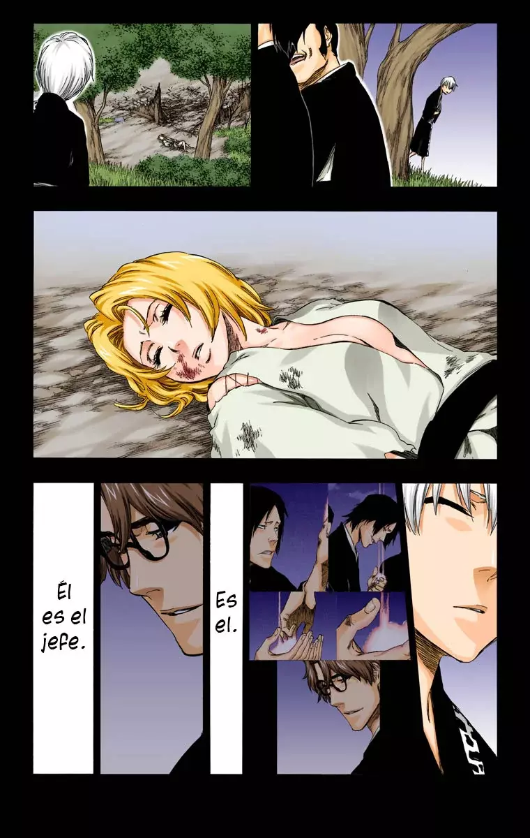 Read Bleach Full Color ES Manga Online
