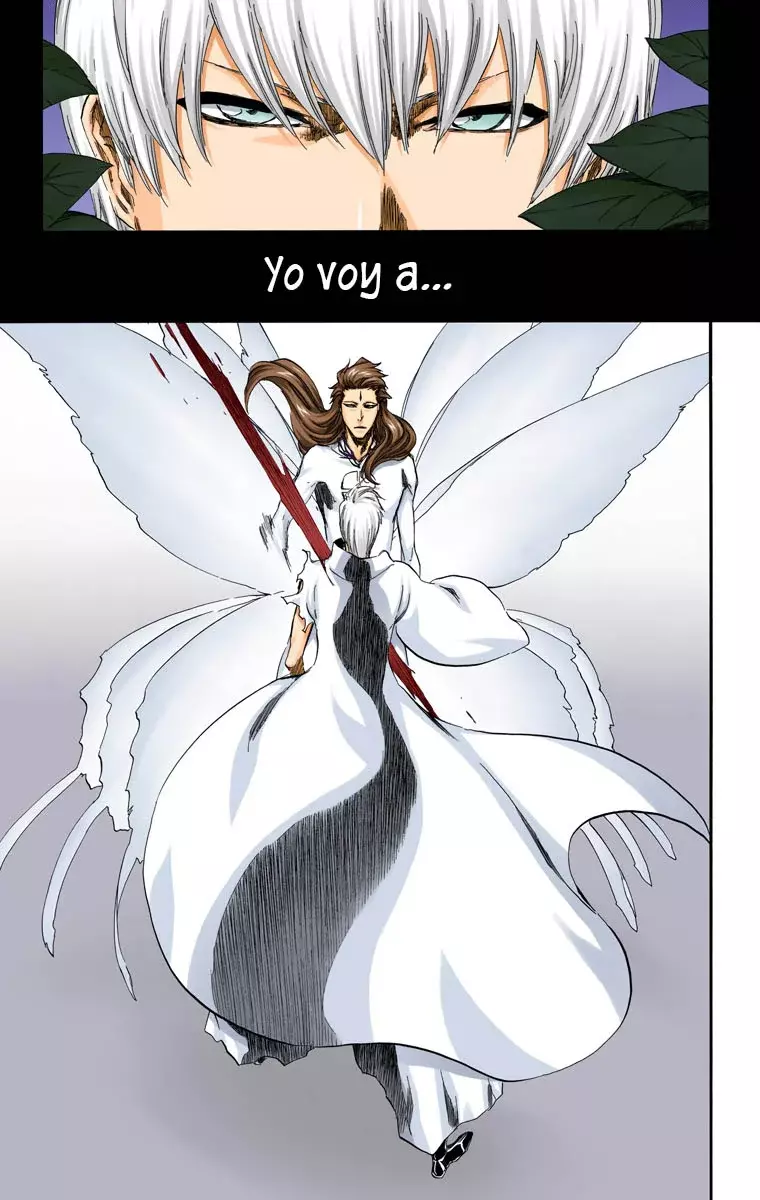 Read Bleach Full Color ES Manga Online