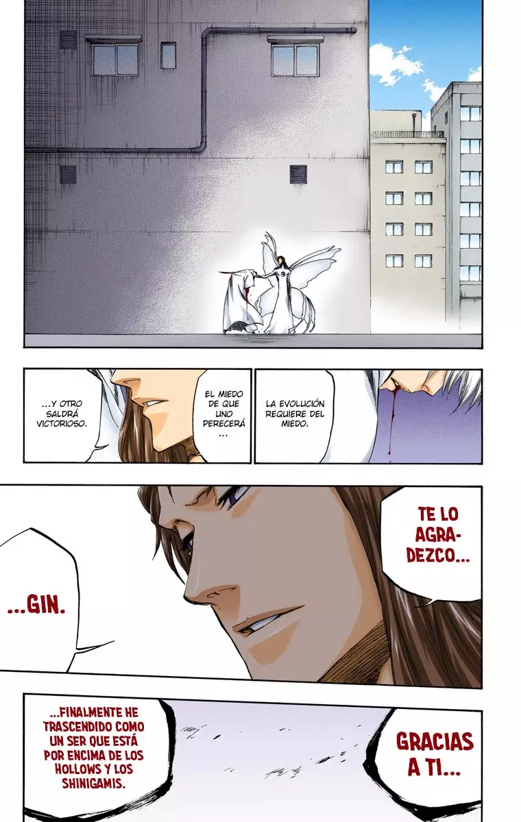 Read Bleach Full Color ES Manga Online