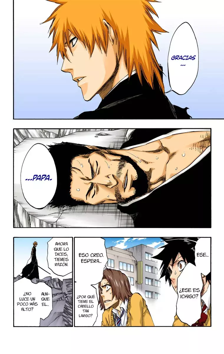 Read Bleach Full Color ES Manga Online