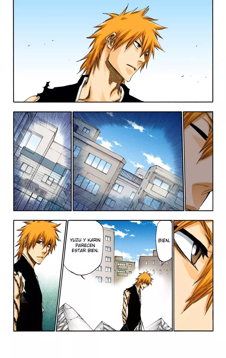 Read Bleach Full Color ES Manga Online