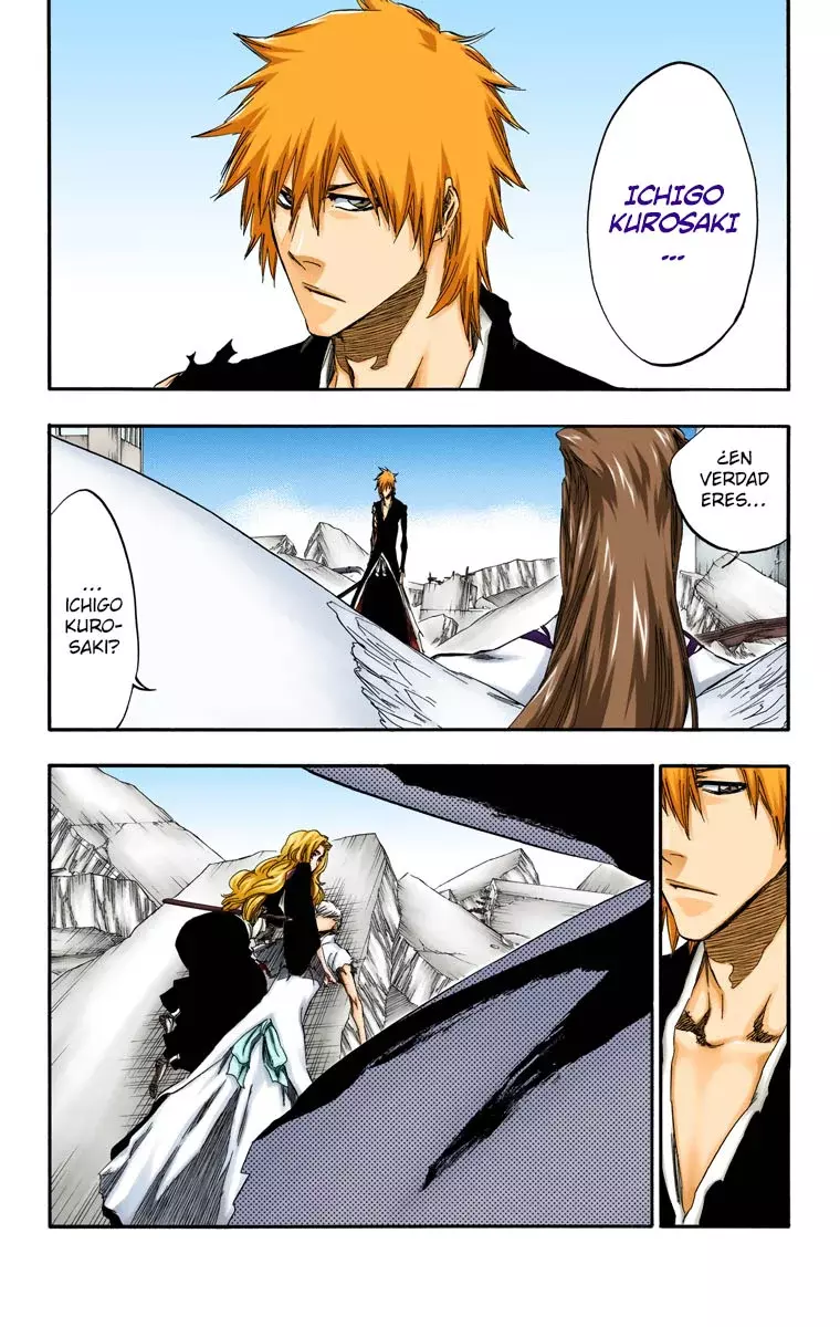 Read Bleach Full Color ES Manga Online