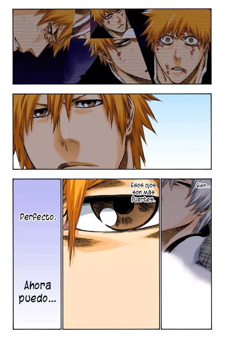 Read Bleach Full Color ES Manga Online